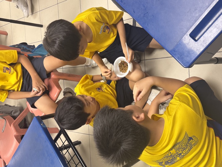 Students exploring edible insects as part of a Food Security (Resilient Futures) ALP.